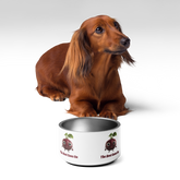 Adorit's "The Beet Goes On" Pet 18 oz bowl with a brown dog| By PhilanthroBit