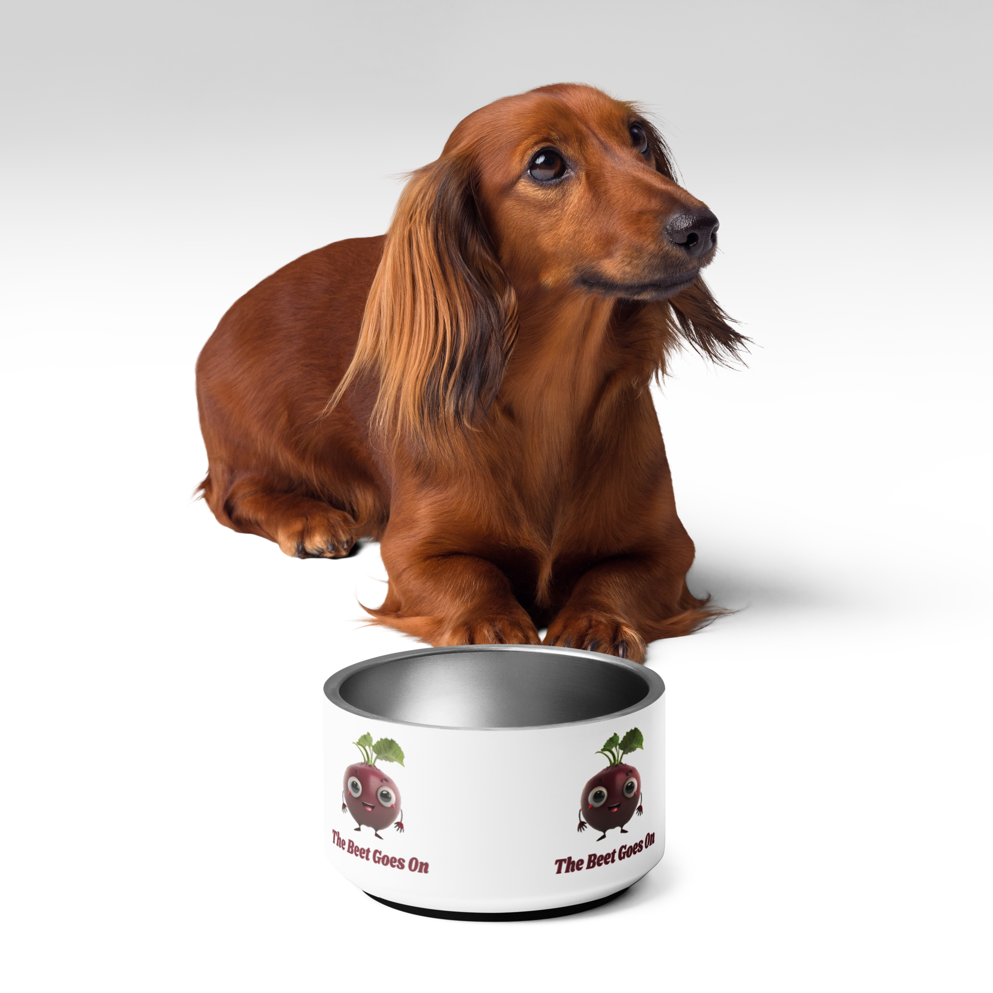 Adorit's "The Beet Goes On" Pet 18 oz bowl with a brown dog| By PhilanthroBit