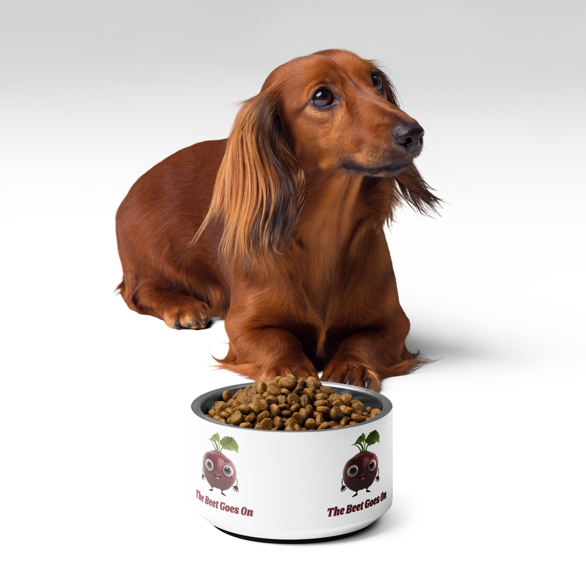 Adorit's "The Beet Goes On" Pet 18 oz bowl with a dog and dog food | By PhilanthroBit