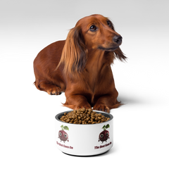 Adorit's "The Beet Goes On" Pet 18 oz bowl with a dog and dog food | By PhilanthroBit