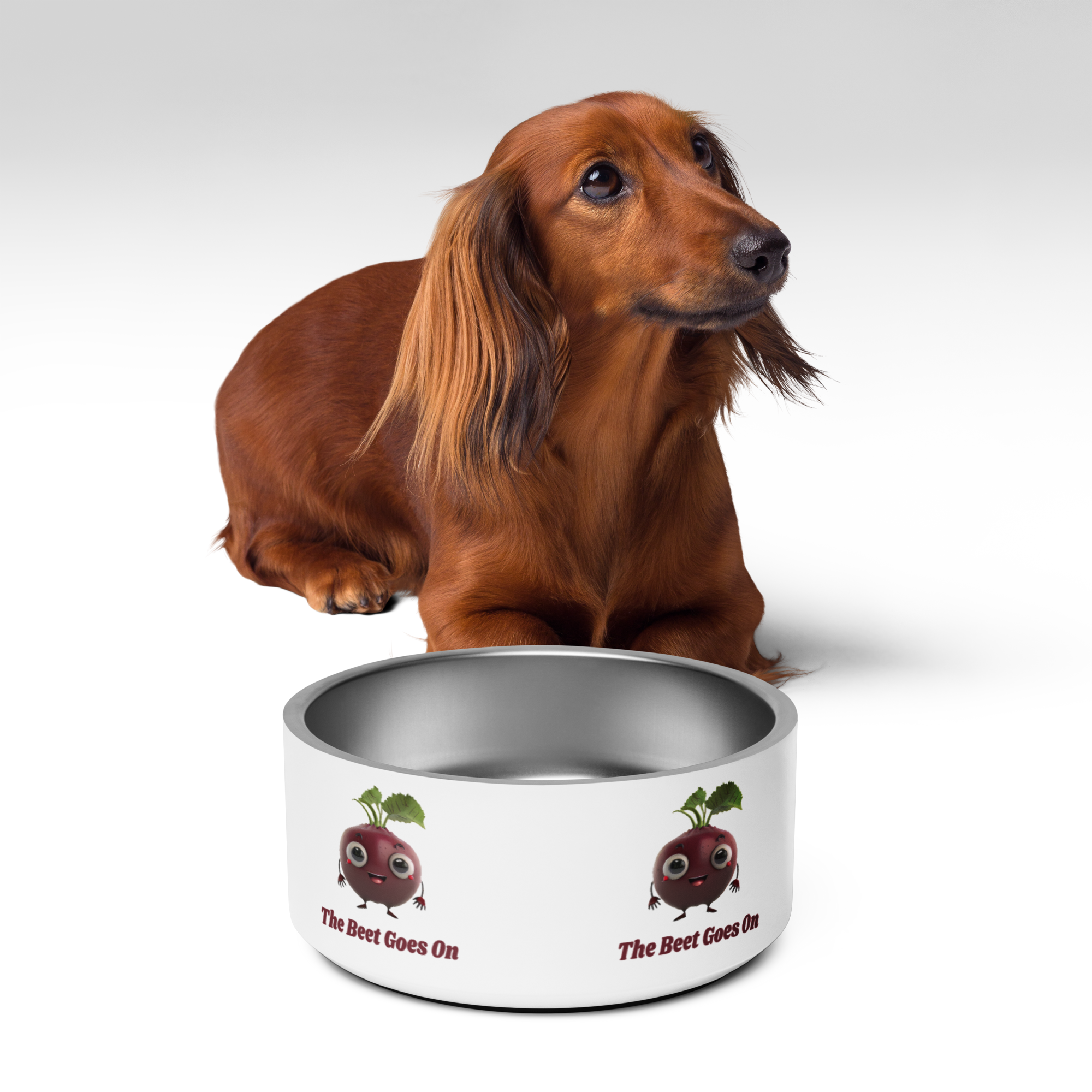 Adorit's "The Beet Goes On" 32 oz Pet bowl with brown dog | By PhilanthroBit