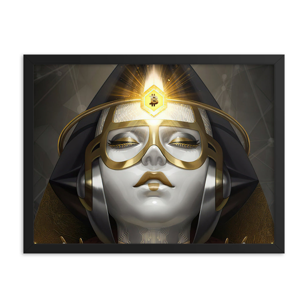 Bitcoin Avatar Lady framed poster - the future of money, 18x24, by PhilanthroBit